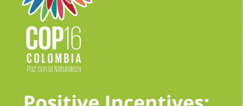 PROYECTOS DE INCENTIVOS POSITIVOS